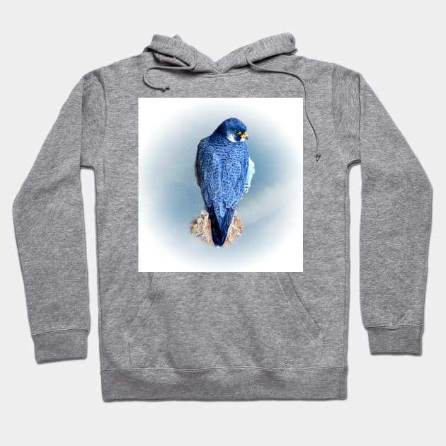 Falcon Hoodie by Guardi